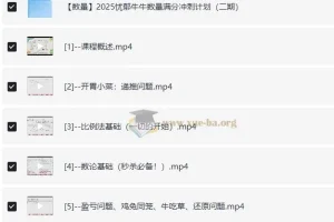 【省考国考】2025忧郁牛牛秘传·【数量】技巧集合课（含第二期冲刺计划+讲义）MP4 【2.9GB】