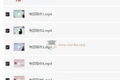 大学英语 lili专业英语 专四写作