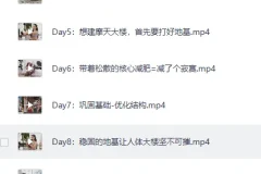 《B站付费课程：  欧阳春晓：28天根本性减脂课程》[MP4]