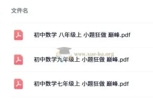 小题狂做 巅峰版数学苏科版7-9年级上册