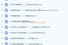 2024高三高考物理 崔春雨 春季班