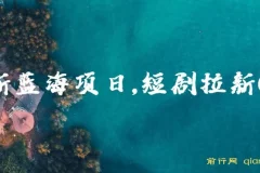 2024最新蓝海项日，短剧拉新CPA，全各大剧场随你挑选