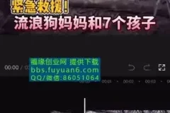 中视频计划：冷门蓝海项目实操指南，收益倍增秘籍