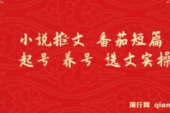 小说推文 番茄短篇 起号 养号 选文实操