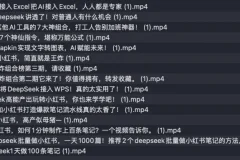 《巧用DeepSeek玩法合集课程，让你的工作效率飞升》[MP4]