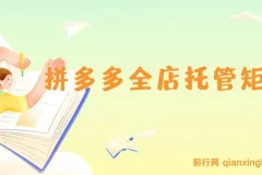 拼多多全店托管矩阵课，盈利动销玩法，高效计划设置，提升店铺效益