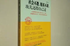 如何混社会的书 《社会不教，精英不讲，坎儿还得自己过》
