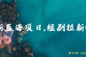 2024最新蓝海项日，短剧拉新CPA，全各大剧场随你挑选