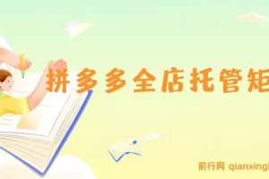 拼多多全店托管矩阵课，盈利动销玩法，高效计划设置，提升店铺效益