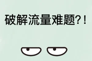 破解流量难题：构建私域流量池，掌握营销引流秘籍