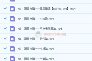高中物理 高中电学实验：核心思路全解 一只不像老师的小怀怀