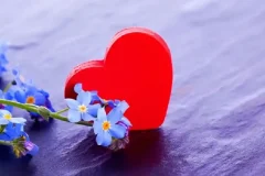 有道精品课《恋爱心理学》，科学解读亲密关系