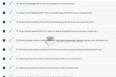 Wise Email Writing 商务英语邮件写作系列课程