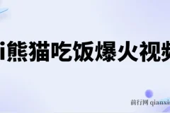 Ai熊猫吃饭爆火视频 原创作品 轻松日入300+ 简单易懂