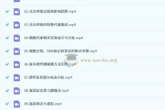 2025高三 高考生物 金晶 技巧提升