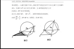 初中数学新思维：黄东坡探究应用全攻略