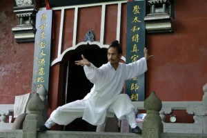 【武当袁师懋道长养生八段锦】