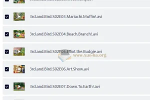 BBC儿童性格培养动画 小鸟3号 3rd and Bird s1+s2 (视频+音频)