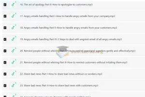 Wise Email Writing 商务英语邮件写作系列课程