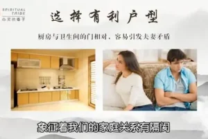 15天风水速成课：改运、聚财、纳福家居指南