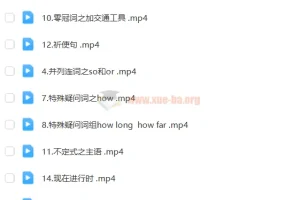 乐乐英语 爆笑语法 视频教程