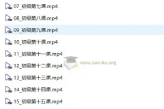 【音基考试】中央音乐学院初级音基考试视频课程