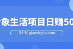 粉象生活项目日赚500