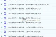 邹老师六级精品听阅课程【139节】