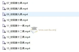 【音基考试】中央音乐学院初级音基考试视频课程