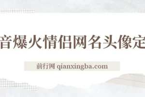 抖音爆火情侣网名头像定制，简单易操作，轻松日入300+，无需养号