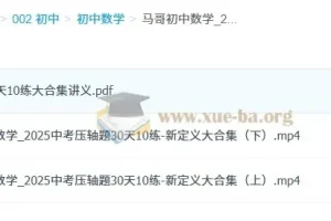 初中数学 2025中考压轴题30天10练 新定义大合集