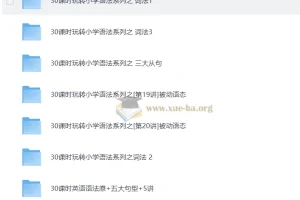 小学英语 学而思 1-6年级 30课时学完小学语法视频教程