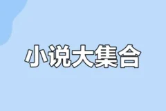 【知轩藏书网站·小说大合集（稀有资源）】