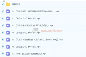 2025初三中考语文 柳宁语文 暑假班