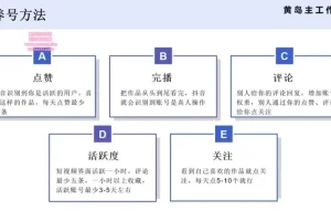 抖音王者荣耀玩游戏变现副业兼职项目:一条龙实操课程