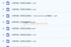 2024高二物理 刘纹岩物理 春季班