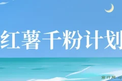 红薯千粉回收计划，单账号收益50+，可矩阵操作