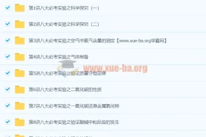 初中化学 化学八大必考实验 9讲王丽颖