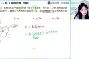 2024高一物理秋季提升班-林婉晴运动学/力学专题精讲