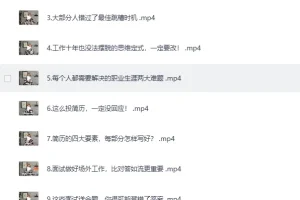 《B站付费课程：职场生存图鉴：拿下令你心动的offer》[MP4]