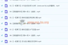 2023-2024初三物理 廉思佳物理 寒假班