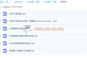 2024高中物理 高二物理 谢丽荣 寒假班