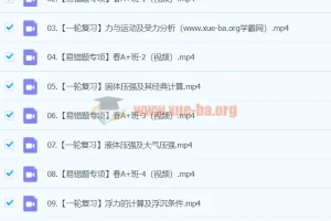 2023-2024初三物理 廉思佳物理 寒假班