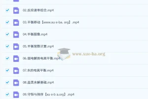 高东辉 2026高中 高二化学 上学期 更新中