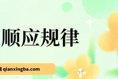十年一遇市场机遇，明确指引方向，转换思维，坚定执行，方能不被时代淘汰
