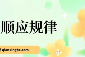 十年一遇市场机遇，明确指引方向，转换思维，坚定执行，方能不被时代淘汰