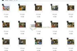 走遍美国学口语中文讲解版+原版中英字幕(中级-高中) (视频+音频+笔记)