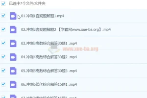 2024考研数学密训押题班 冲刺带练