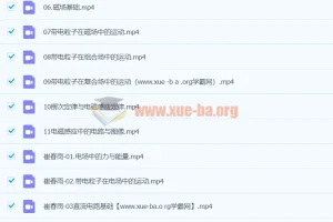 2024高三高考物理 崔春雨 秋季班