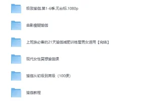 《小红书花198元买来的韩国瑜伽老师雅慧9节超高清瑜伽课程》